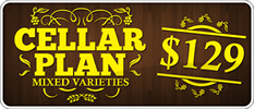 CellarPlan-129-mixed thumb.png