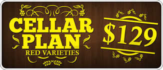 CellarPlan-129-red.png