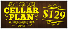 CellarPlan-129-white thumb.png