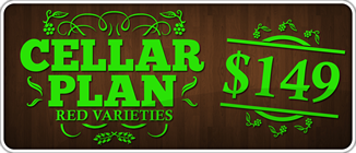 CellarPlan-149-red.png