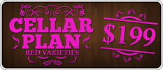 CellarPlan-199-red thumb.png