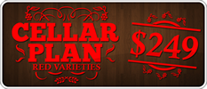 CellarPlan-249-red thumb.png