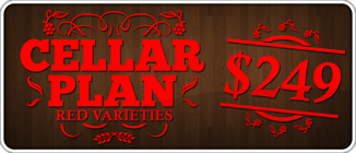 CellarPlan-249-red.png