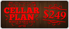 CellarPlan-249-white thumb.png