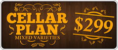 CellarPlan-299-mixed thumb.png