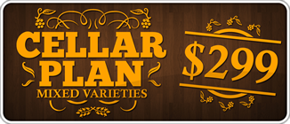 CellarPlan-299-mixed.png
