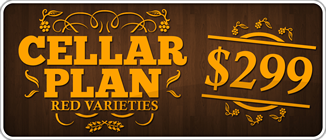 CellarPlan-299-red.png