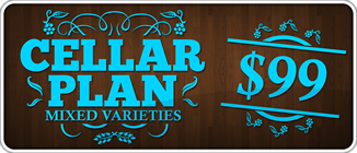 CellarPlan-99-mixed.png