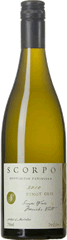 Scorpo Pinot Gris .gif