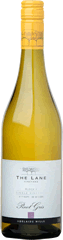 block2 pinot.gif