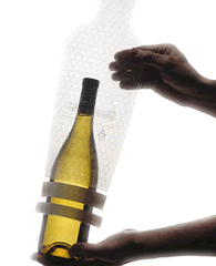 Wineskin.gif