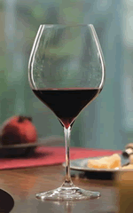 Grape Pinot Noir.gif